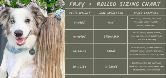 BANDANA - GUNNISON PAWSOME PETS