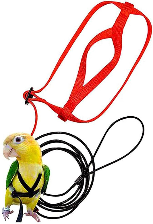 Bird Freedom Harness: Fly And Explore With Your Feathered Friend Dog Hugs Cat