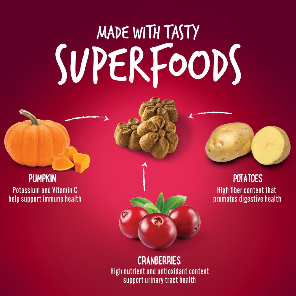 Fruitables Pumpkin & Cranberry Mix Dog Treats (8x7 Oz) TechSavvyPets